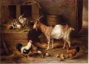 unknow artist poultry  188 china oil painting reproduction